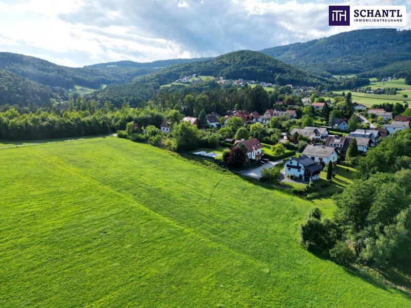  قطعة أرض في Weinitzen, Austria 2936متر مربع رقم 201284