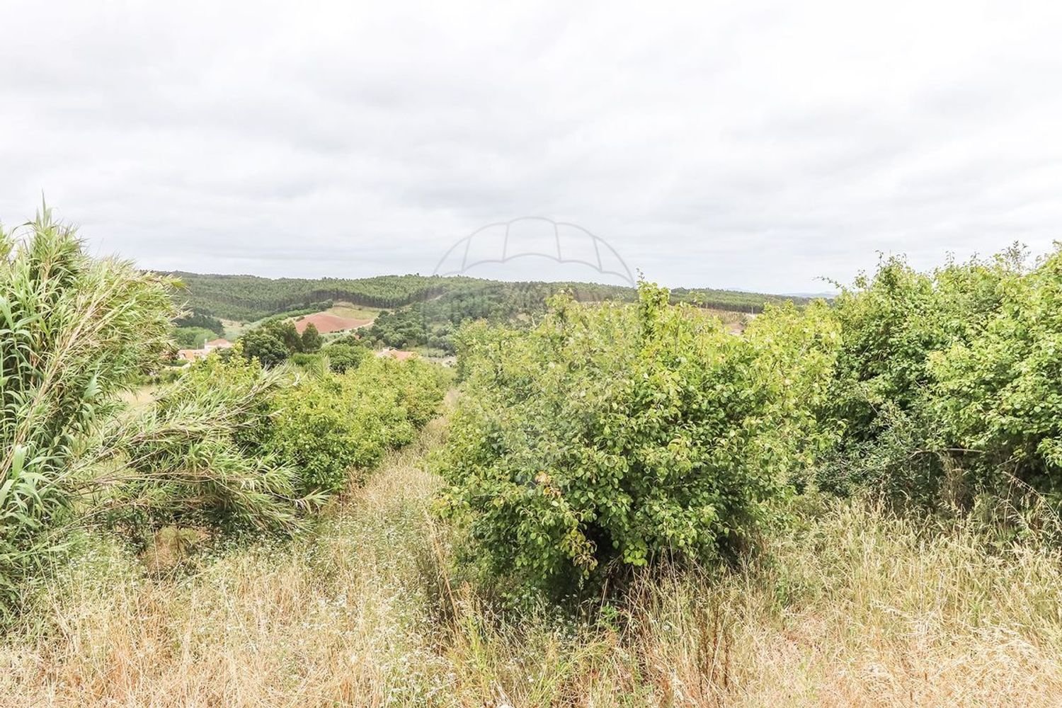 2 bedrooms House in Lourinha, Portugal No. 46097