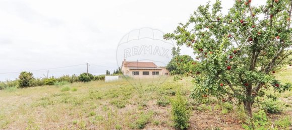 2 bedrooms House in Lourinha, Portugal No. 46097 3