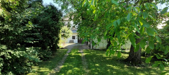 5 rooms House in Kilb, Austria No. 210670 8