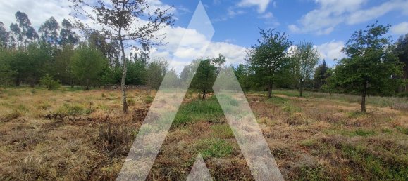 Terreno en Aveiro, Portugal 1100 m² No. 89412 6