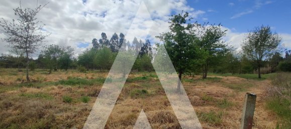 Terreno en Aveiro, Portugal 1100 m² No. 89412 2