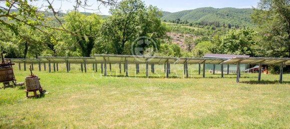 32 rooms Castles in Passignano sul Trasimeno, Italy No. 233387 4