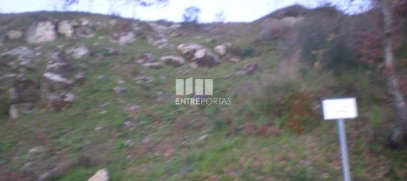Terrain à Soalhaes, Portugal 10090m² No. 57421 5
