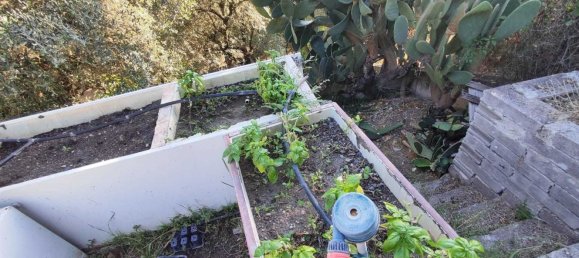  Land in Marcellina, Italy No. 332315 11