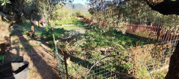  Land in Marcellina, Italy No. 332315 5