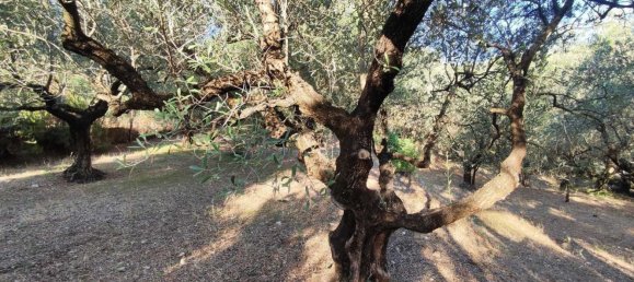  Land in Marcellina, Italy No. 332315 24