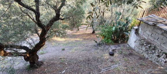  Land in Marcellina, Italy No. 332315 17