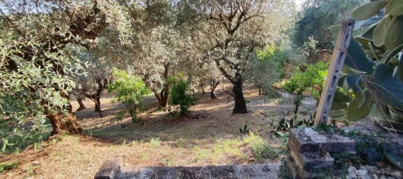  Land in Marcellina, Italy No. 332315 13