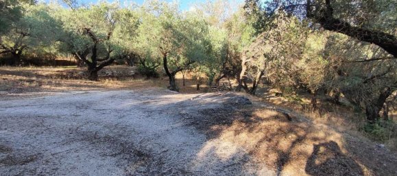  Land in Marcellina, Italy No. 332315 20