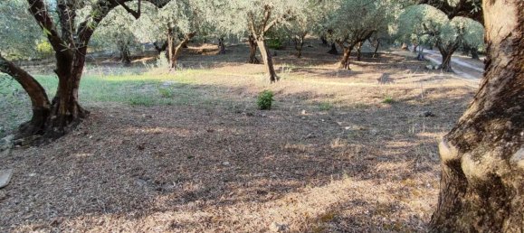  Land in Marcellina, Italy No. 332315 7