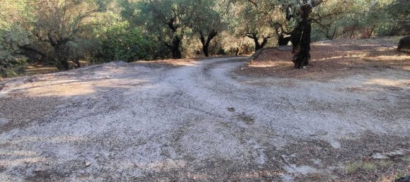  Land in Marcellina, Italy No. 332315 23