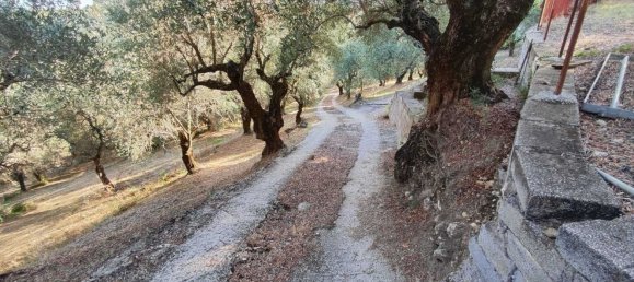  Land in Marcellina, Italy No. 332315 25