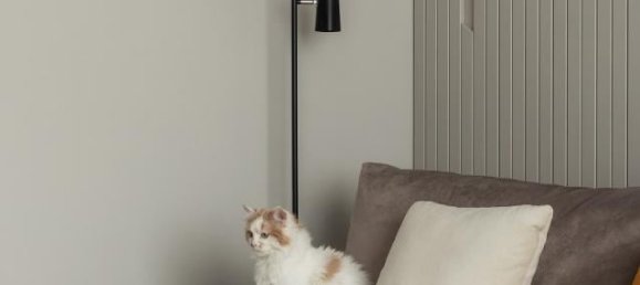 5 rooms Apartment in Vicenza, Italy No. 234451 92