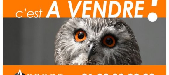 2 chambres Appartement à Montmorency, France No. 305519 13