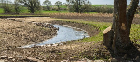 Grundstück in Alzey-Worms, Germany, Nr. 148516 7