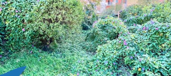 3غرفة شقة في Palermo, Italy رقم 37093 15