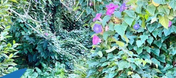 3غرفة شقة في Palermo, Italy رقم 37093 16