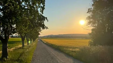Apartamento de 4 habitaciónes en Vienna, Austria No. 131970