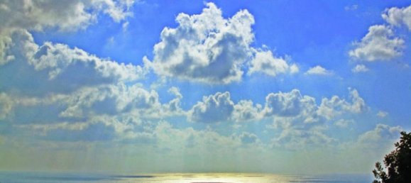 Вилла с 3 комнатами в Пафос, Кипр № 24553 5