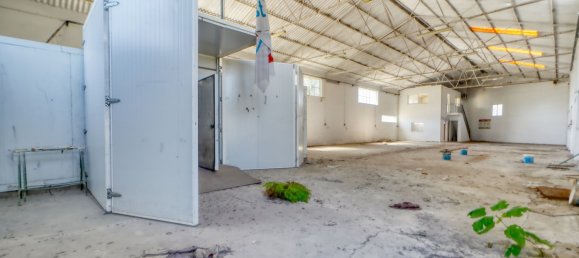 5000m² Warehouse in Montijo, Portugal No. 71086 5