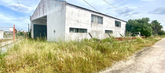 5000m² Warehouse in Montijo, Portugal No. 71086 3