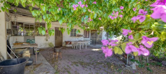 5000m² Warehouse in Montijo, Portugal No. 71086 27