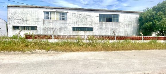 5000m² Warehouse in Montijo, Portugal No. 71086 24