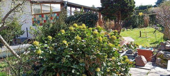 Grundstück in Uckermark, Germany, Nr. 304862 6