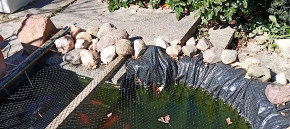 Grundstück in Uckermark, Germany, Nr. 304862 8