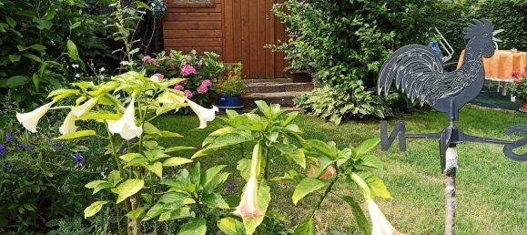 Grundstück in Uckermark, Germany, Nr. 304862 5