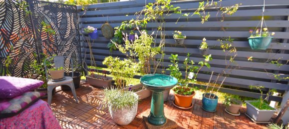 2 chambres Appartement à Dicky Beach, Australia No. 120 6