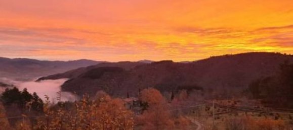 Villa de 5 dormitorios en Castel San Niccolò, Italy No. 60768 4