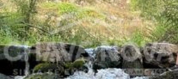 2 bedrooms House in Celorico da Beira, Portugal No. 79717 9