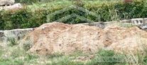 2 bedrooms House in Celorico da Beira, Portugal No. 79717 2