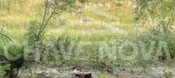 2 bedrooms House in Celorico da Beira, Portugal No. 79717 7