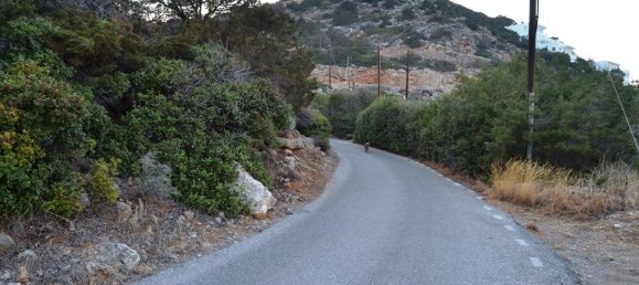 Hotel em Agios Nikolaos, Greece 4616 m² N.º 5471 4