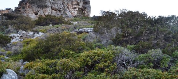 Hotel in Agios Nikolaos, Greece 4616m², Nr. 5471 3