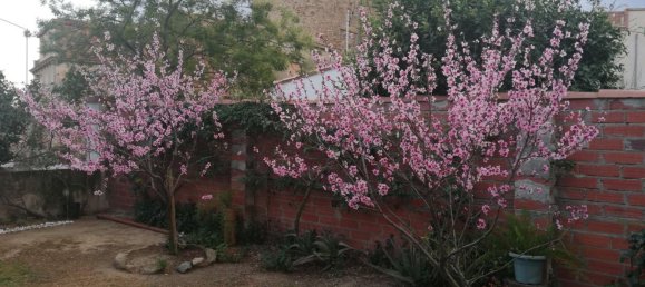 1 bedroom House in Vilajuiga, Spain No. 22579 8