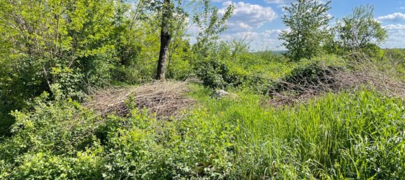  قطعة أرض في Stadtschlaining, Austria رقم 114741 5