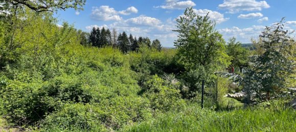  قطعة أرض في Stadtschlaining, Austria رقم 114741 4