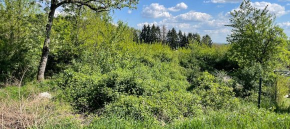  قطعة أرض في Stadtschlaining, Austria رقم 114741 2