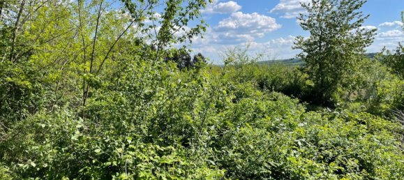  قطعة أرض في Stadtschlaining, Austria رقم 114741 3