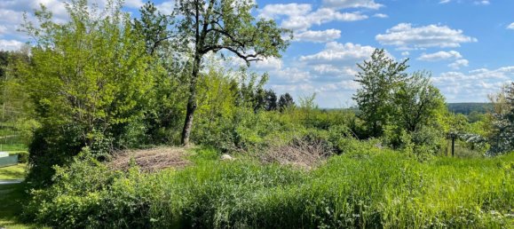  قطعة أرض في Stadtschlaining, Austria رقم 114741 6