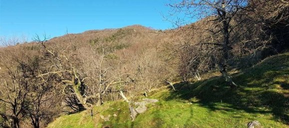 7 rooms House in Camaiore, Italy No. 27599 8