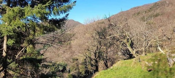 7 rooms House in Camaiore, Italy No. 27599 10