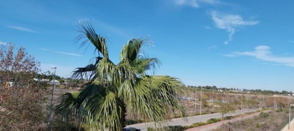 Penthouse T2 em Pinar De Campoverde, Spain N.º 164226 16