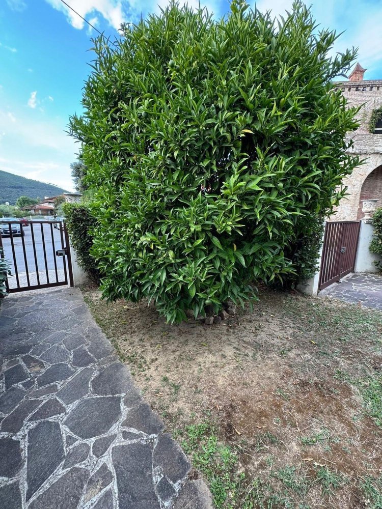 Villa T6 em San Giuliano Terme, Italy N.º 322108