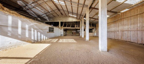 7غرفة عقار تجاري في Grossdietmanns, Austria رقم 173165 24