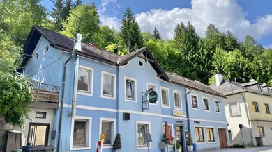 Коммерческая недвижимость с 5 спальнями в Зельцталь, Австрия № 208046